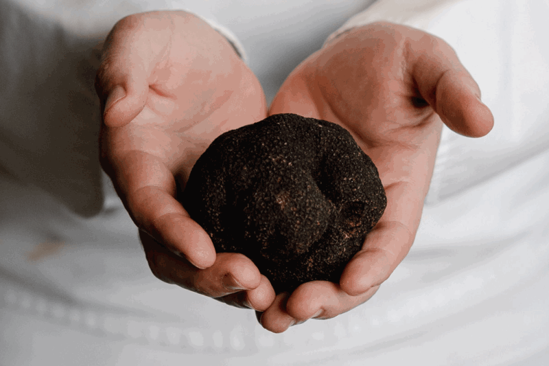 Winter Truffle Indulgence at a'Mare