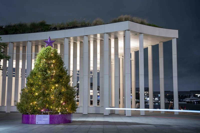 Native Living Christmas Trees