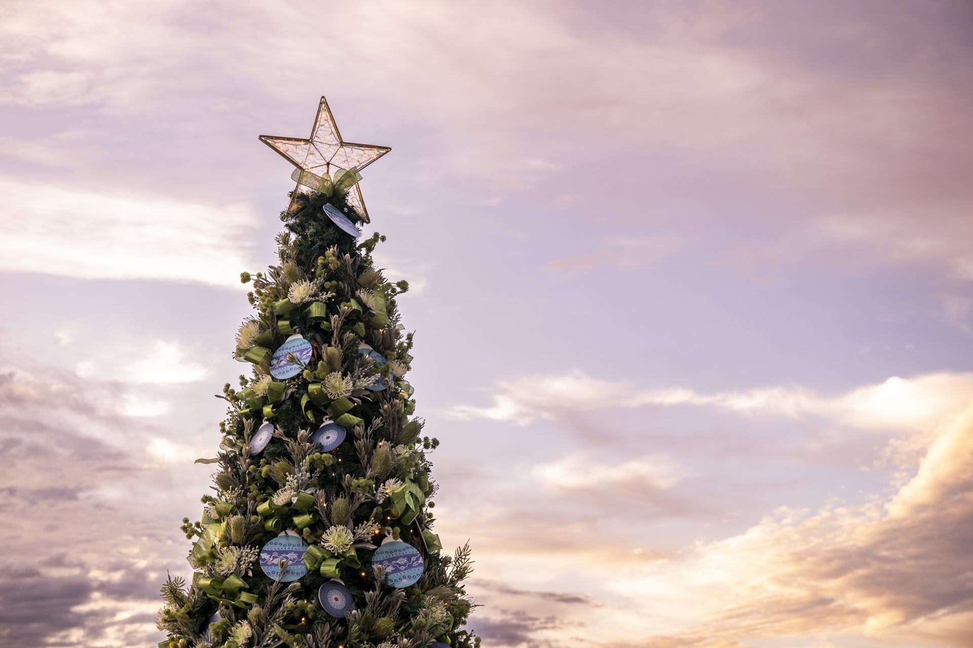 Christmas at Barangaroo