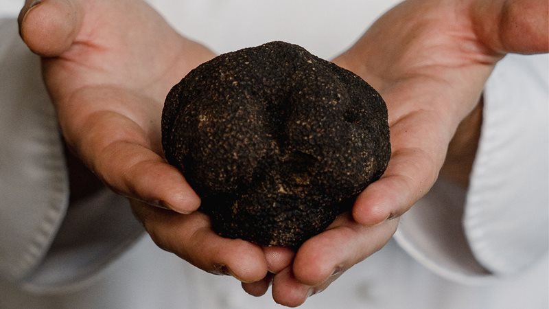 a'Mare Truffle Dinner