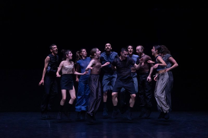 My Fierce Ignorant Step, Sydney Festival
