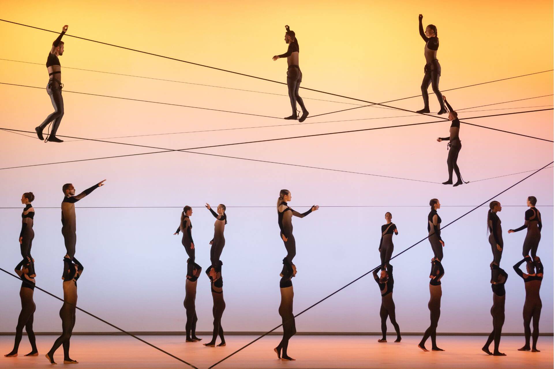 Outsider, Sydney Festival