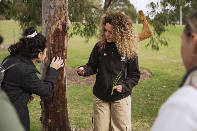 Aboriginal Cultural Tours