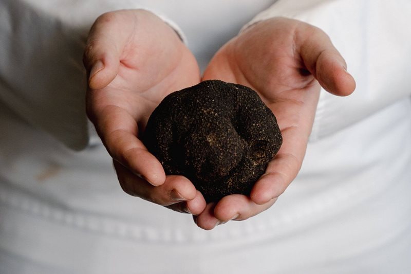 Truffle Season at Crown Sydney