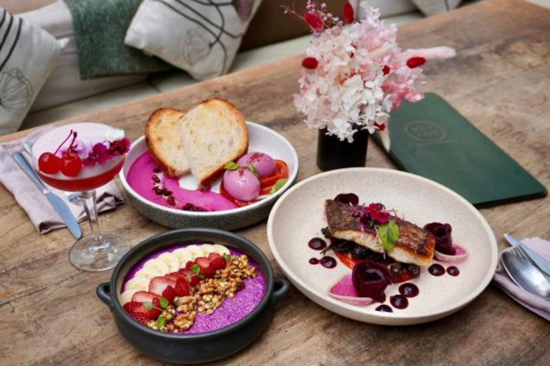 Wild Sage x Sydney Fringe 