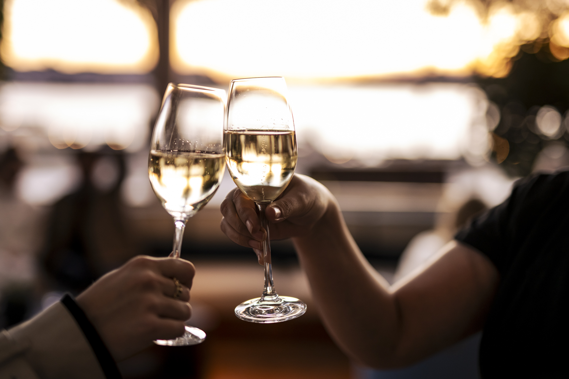 Bar hop Barangaroo