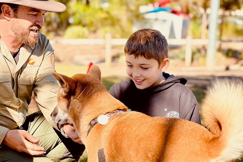 NAIDOC Week Storytelling & Meet the Dingoes